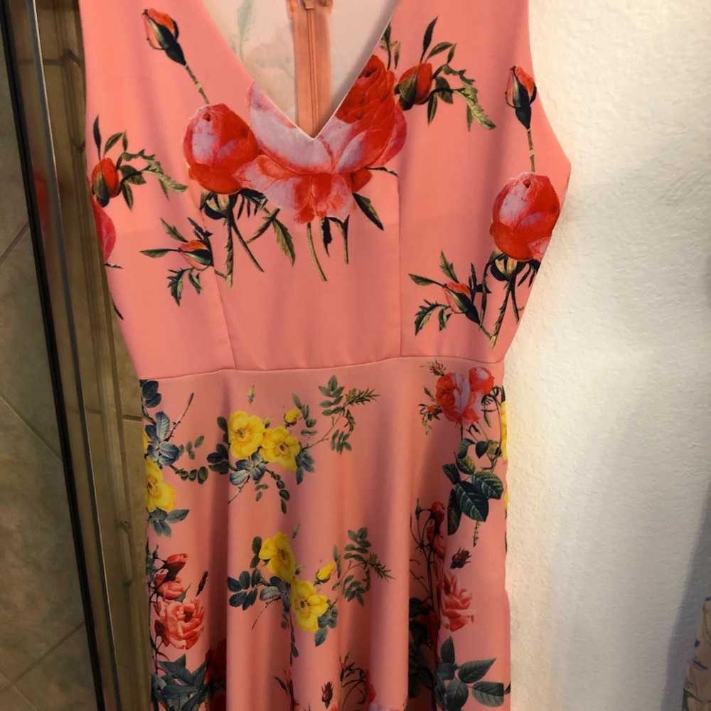 Zara pink Floral Roses Dress